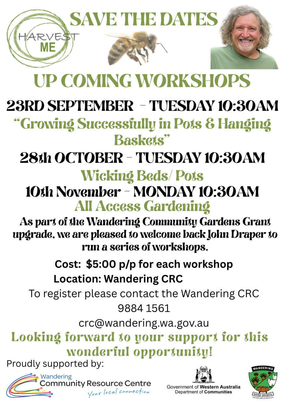 Harvest Me Workshop - Wicking Beds/Pots